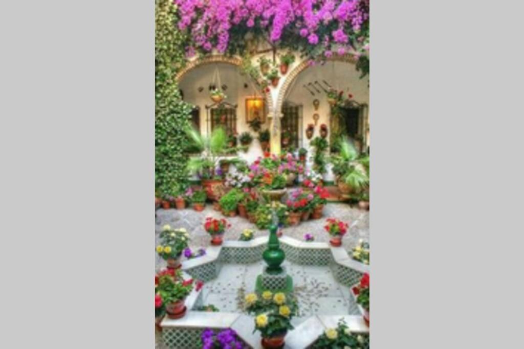Corredera House. Pleno Centro De Cordoba 아파트 외부 사진
