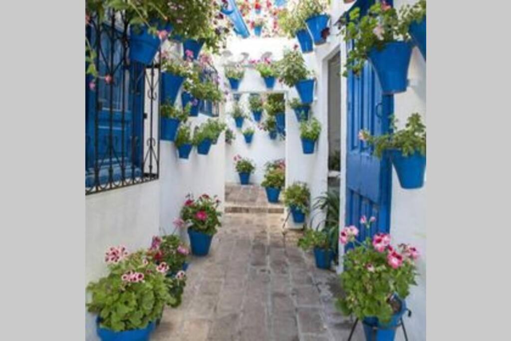 Corredera House. Pleno Centro De Cordoba 아파트 외부 사진